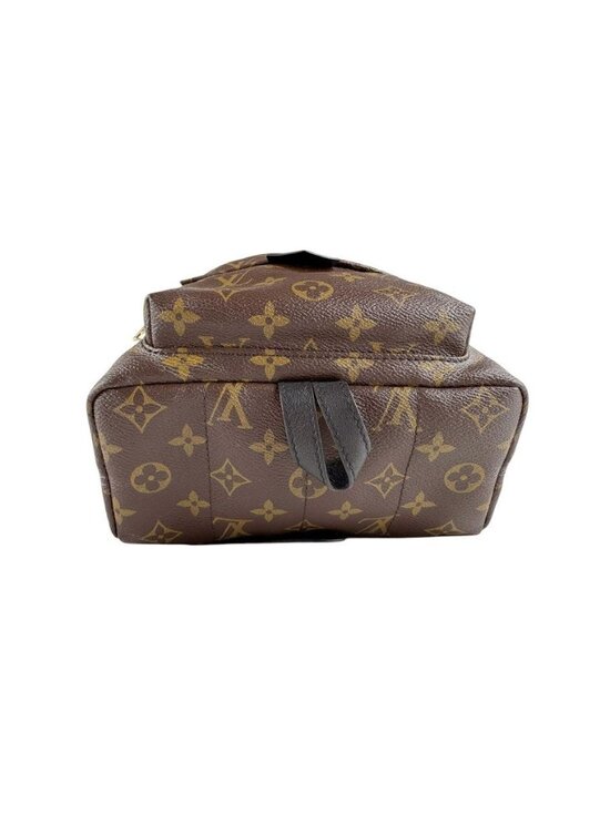 Louis Vuitton Palm Springs Backpack PM